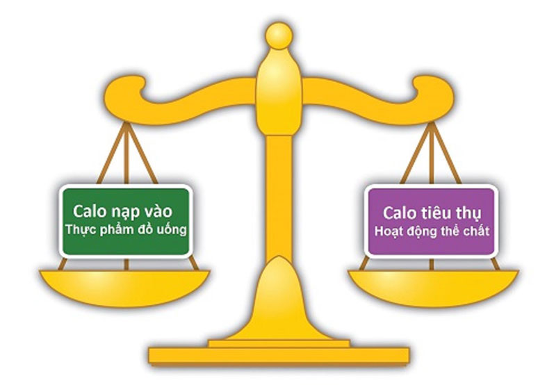 Cách tính lượng calo cho cơ thể mỗi ngày