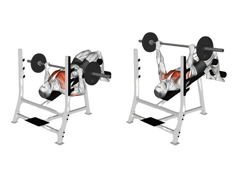 Decline Barbell Bench Press