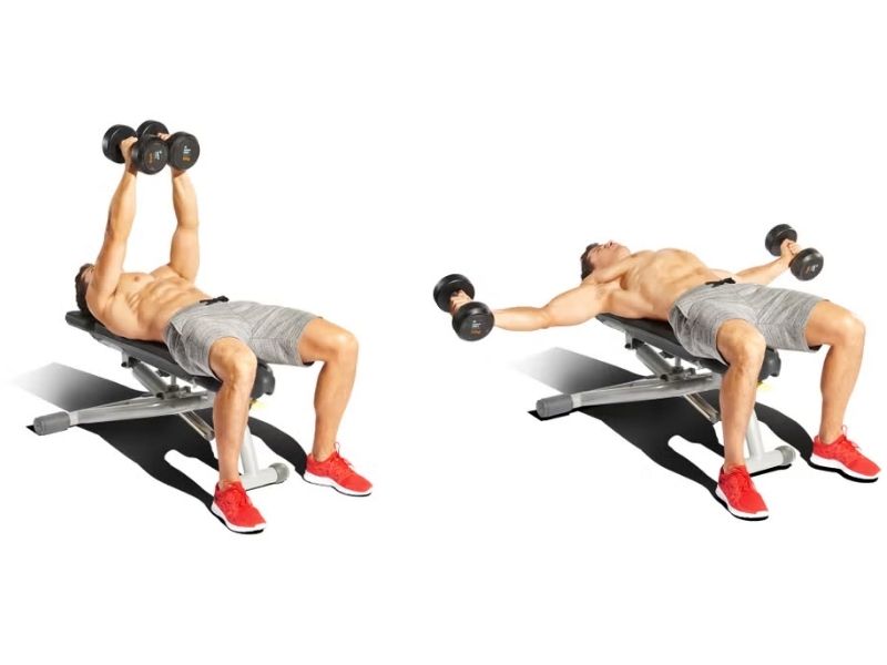 Dumbbell Flyes – Đẩy tạ tay bay