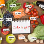 Hiểu đúng về calo là gì và vai trò của nó đối với cơ thể