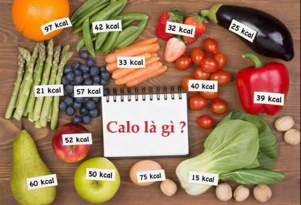 Calo là gì? Calo đến từ đâu?