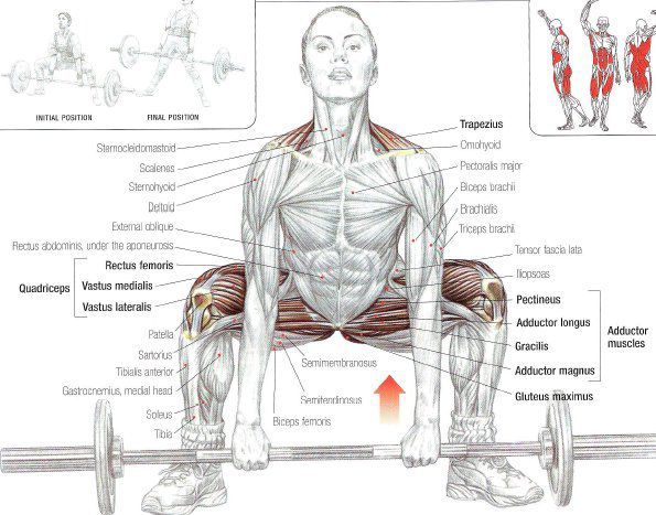 Một số biến thể của bài tập Sumo Deadlift