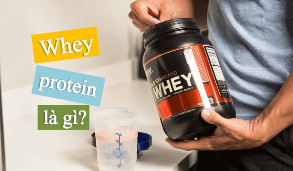 Sự khác biệt giữa các loại Whey Protein và lựa chọn phù hợp