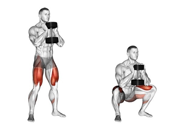 Hướng dẫn cách thực hiện goblet squat một cách chính xác