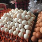 Bao nhiêu protein trong 1 quả trứng lớn? Lưu ý khi ăn trứng