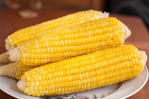 Bắp bao nhiêu protein? - Thực đơn ăn kiêng giàu đạm từ bắp