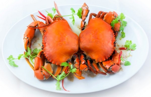 Những yếu tố ảnh hưởng đến hàm lượng Protein trong Gạch Cua