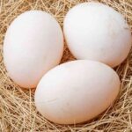 3 quả trứng vịt bao nhiêu protein? Hàm lượng dinh dưỡng của trứng vịt