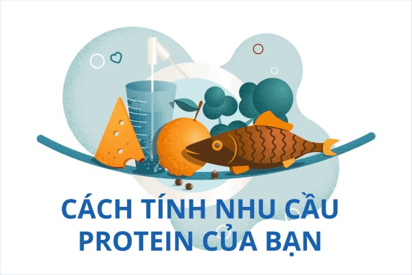 Cách tính toán nhu cầu protein cá nhân mỗi ngày 