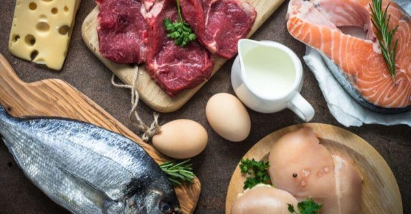 Protein động vật được coi là nguồn protein hoàn chỉnh
