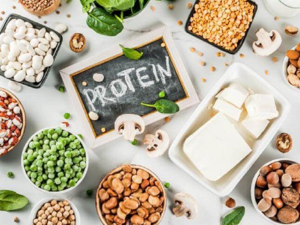 Protein thực vật là nguồn cung cấp protein quan trọng cho sức khỏe