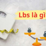 Lbs là gì? 1 Lbs bằng bao nhiêu kg? Cách quy đổi chuẩn và dễ nhớ