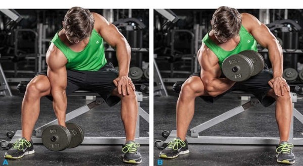 14 Cách tập tạ tay đúng cách và hiệu quả tại nhà giúp phát triển cơ bắp