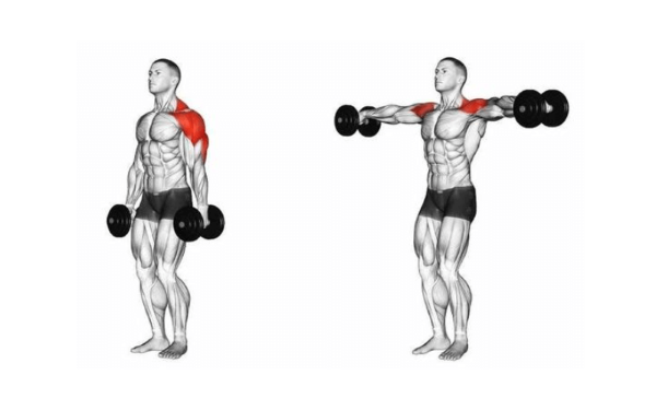 Top các bài tập vai đúng cách, hiệu quả giúp vai nhanh to và săn chắc