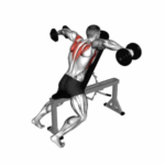 Top các bài tập vai đúng cách, hiệu quả giúp vai nhanh to và săn chắc