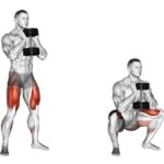 Squat là gì? Lợi ích sức khỏe khi tập Squat đúng cách và an toàn
