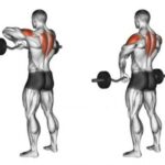 Top 7 bài tập cầu vai tại nhà hiệu quả nhất giúp gymer