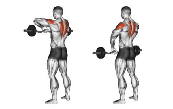 Lợi ích khi tập luyện cơ cầu vai