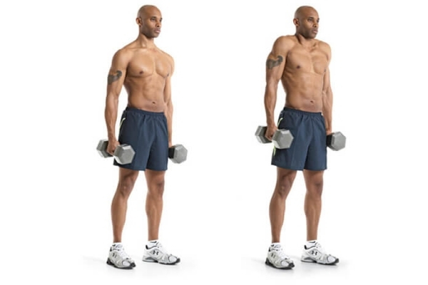 Dumbbell Shrug (Nhún vai với tạ đơn)