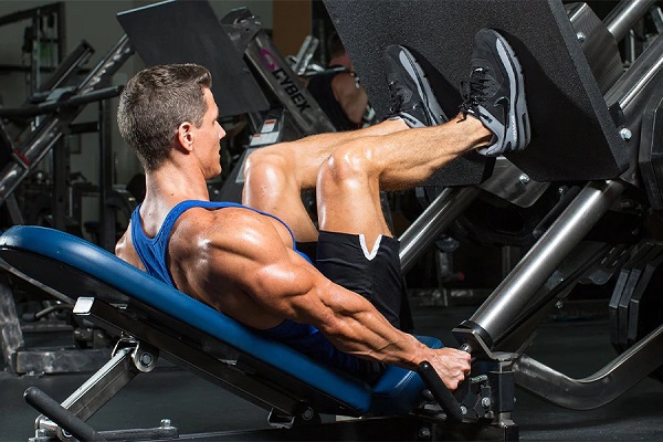 Leg press là bài tập sử dụng máy tập để phát triển cơ chân