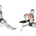 Top 7 bài tập cơ tam đầu bắp tay sau cực hiệu quả cho nam tăng cơ