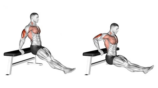 Bài tập Triceps Bench Dips