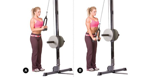 Bài tập Triceps Pushdowns