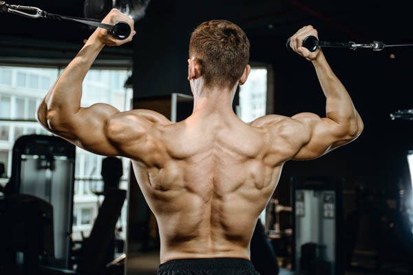 Tổng quan về cơ lưng dưới và vai trò quan trọng trong tập luyện