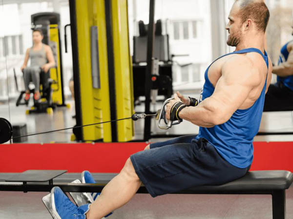 Tổng quan về Cable Row