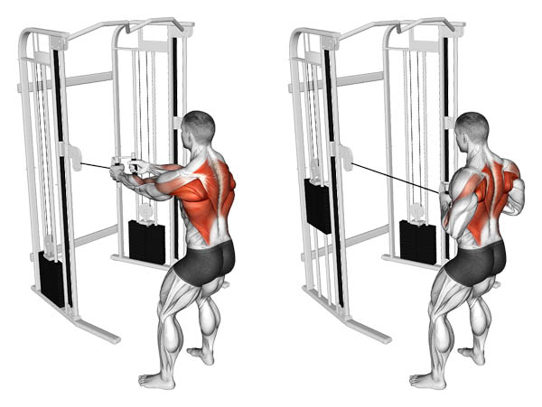 Standing Cable Row (Kéo cáp đứng)