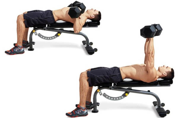 Tầm quan trọng của bài tập ngực với tạ đơn